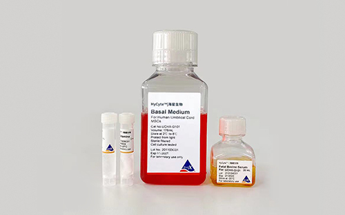 HyCyte SD大鼠骨髓間充質干細胞去外泌體專用培養(yǎng)基 