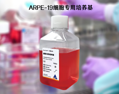 ARPE-19細(xì)胞培養(yǎng)基