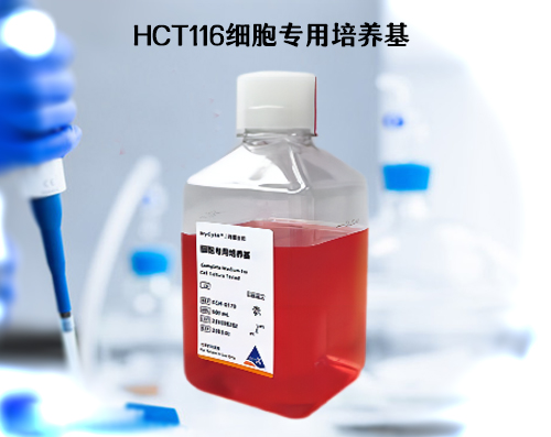 HCT116細(xì)胞培養(yǎng)基?