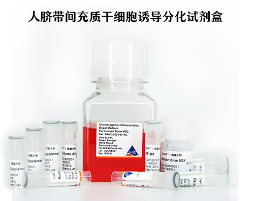 人臍帶間充質(zhì)干細胞誘導(dǎo)分化試劑盒