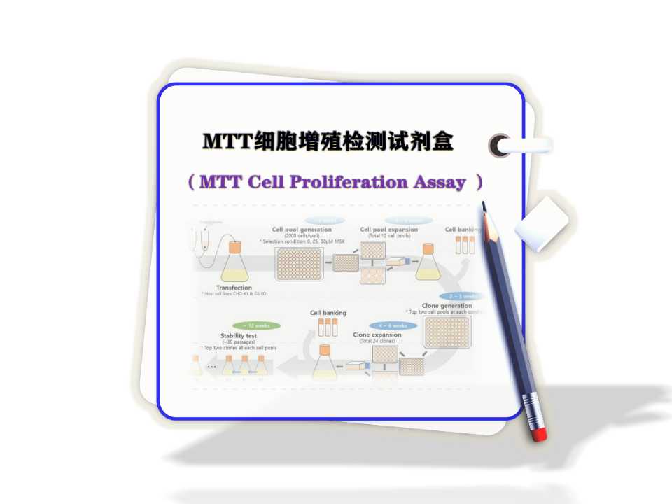 MTT 細(xì)胞增殖檢測(cè)試劑盒- MTT Cell Proliferation Assay