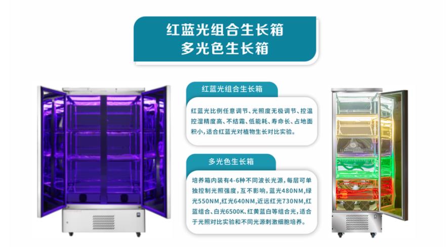 植物生長培養(yǎng)箱