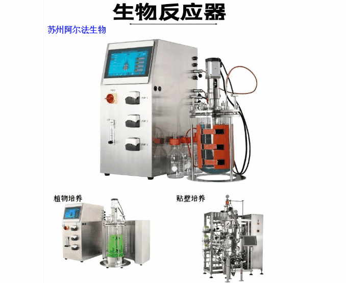 細(xì)胞培養(yǎng)生物反應(yīng)器中的乳酸積累如何影響細(xì)胞生長(zhǎng)