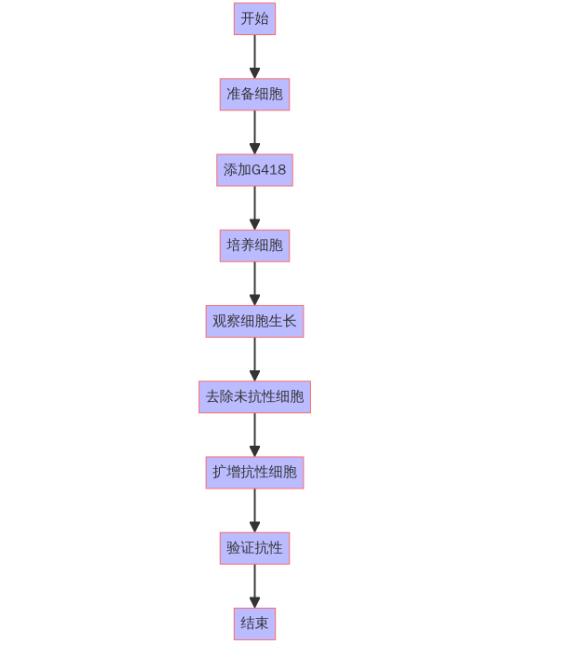 <i style='color:red'>hek</i>-293T細(xì)胞G418篩選的詳細(xì)步驟和方法